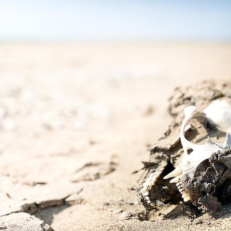 Skeleton Beach Backpackers Свакопмунд Екстер'єр фото